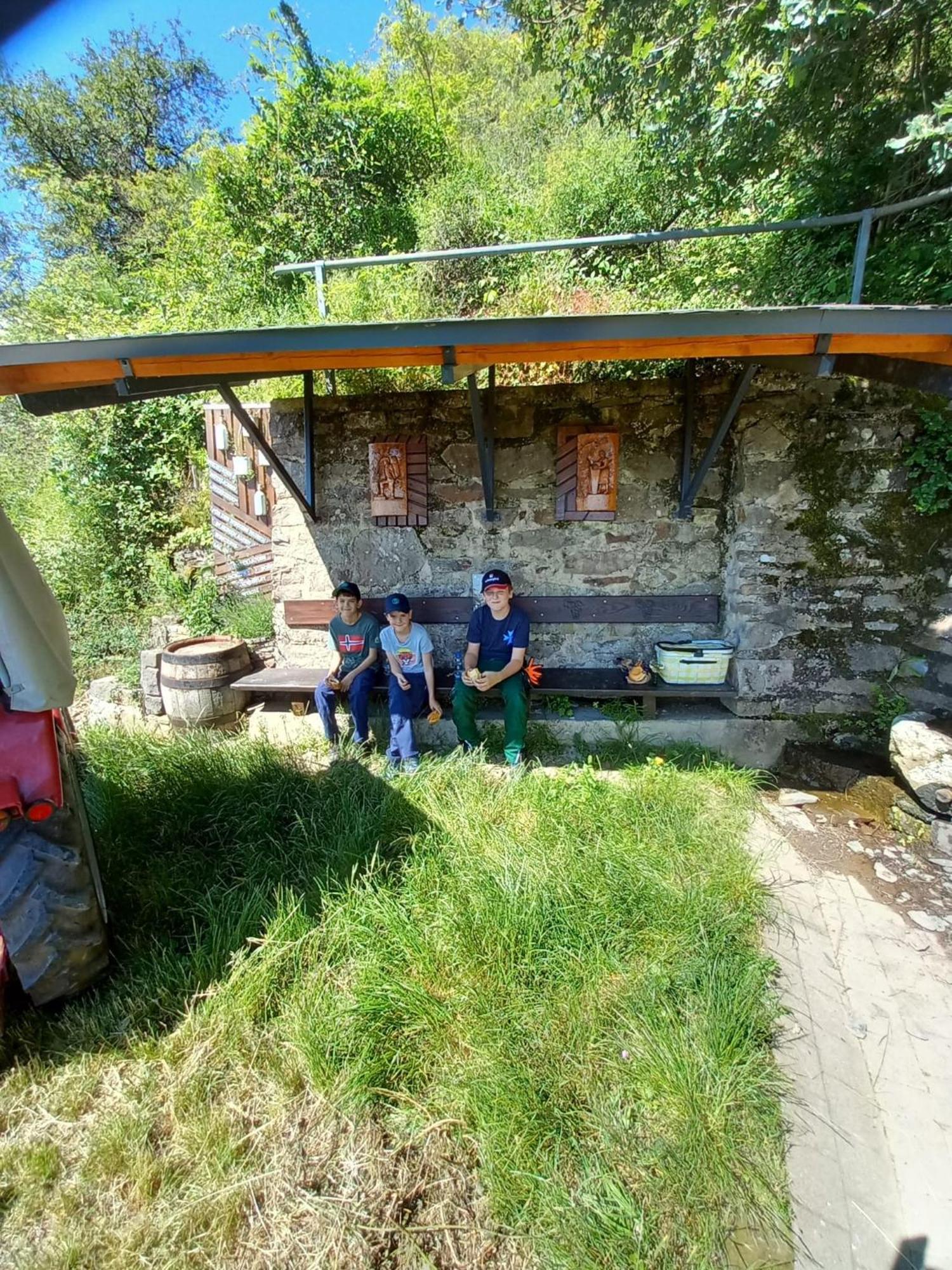 Ferienhaus Heimes Klotten Kültér fotó