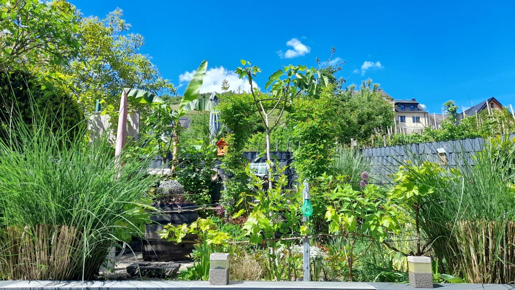 Ferienhaus Heimes Klotten Kültér fotó